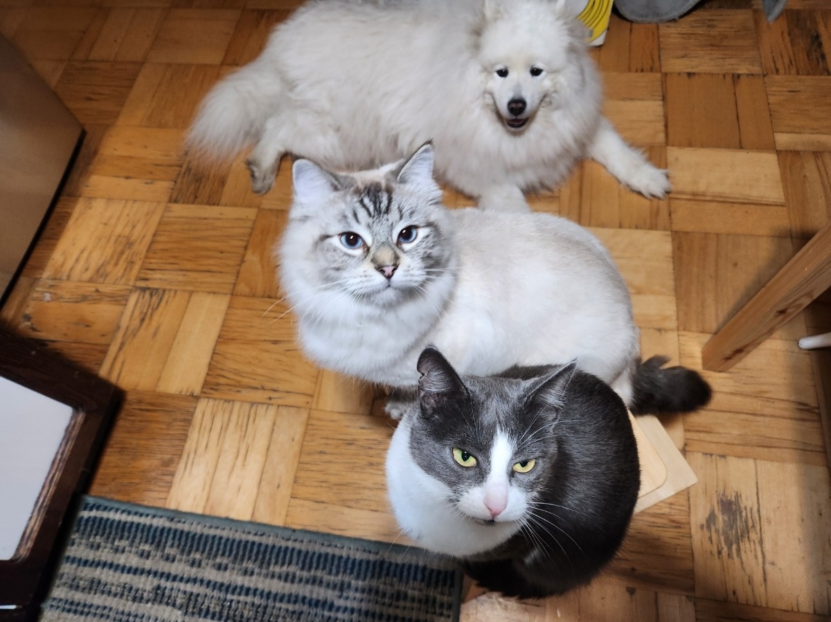 f37e8151-d83c-4ef0-8220-307efc28ff02