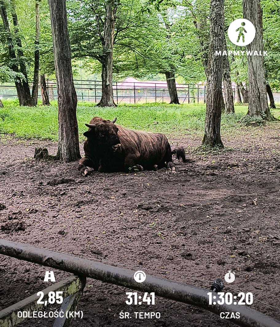 20b38fc8-e467-4dad-a5c3-a2e429887305