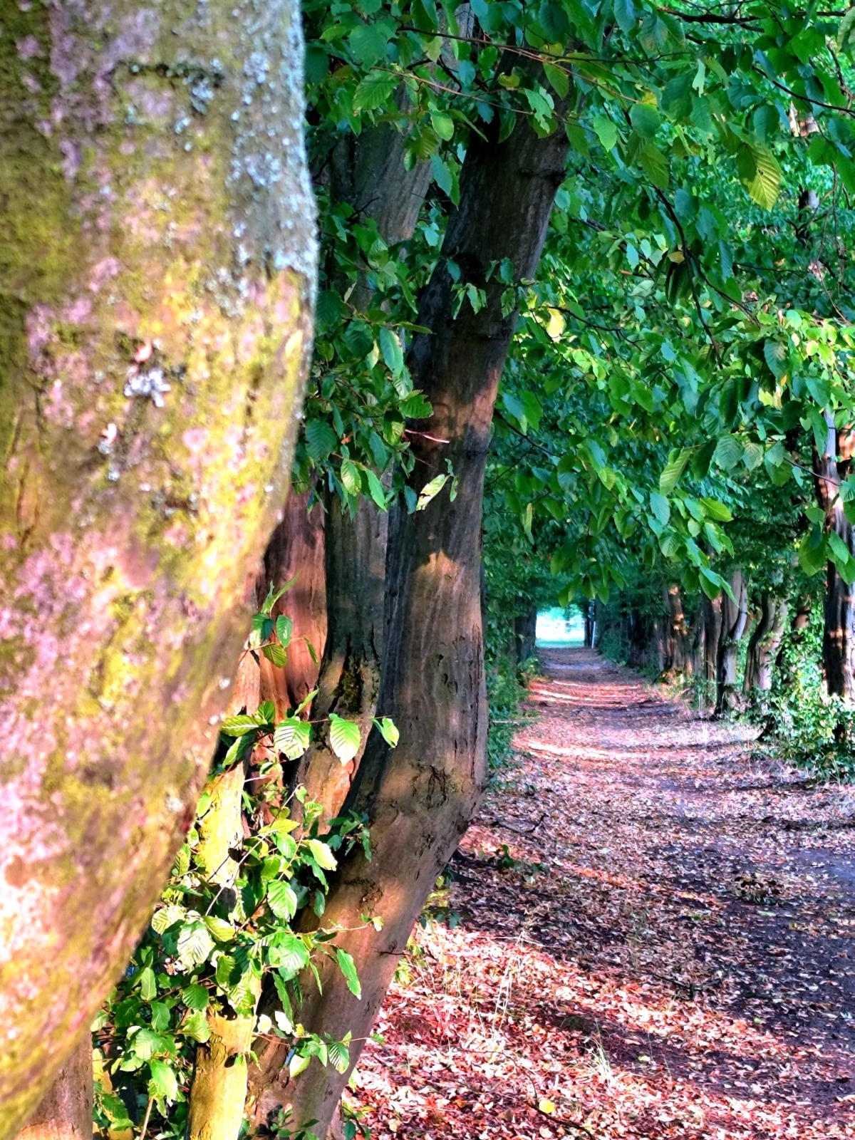 0ed66cc2-a493-4c3f-857a-7997d7ce6240