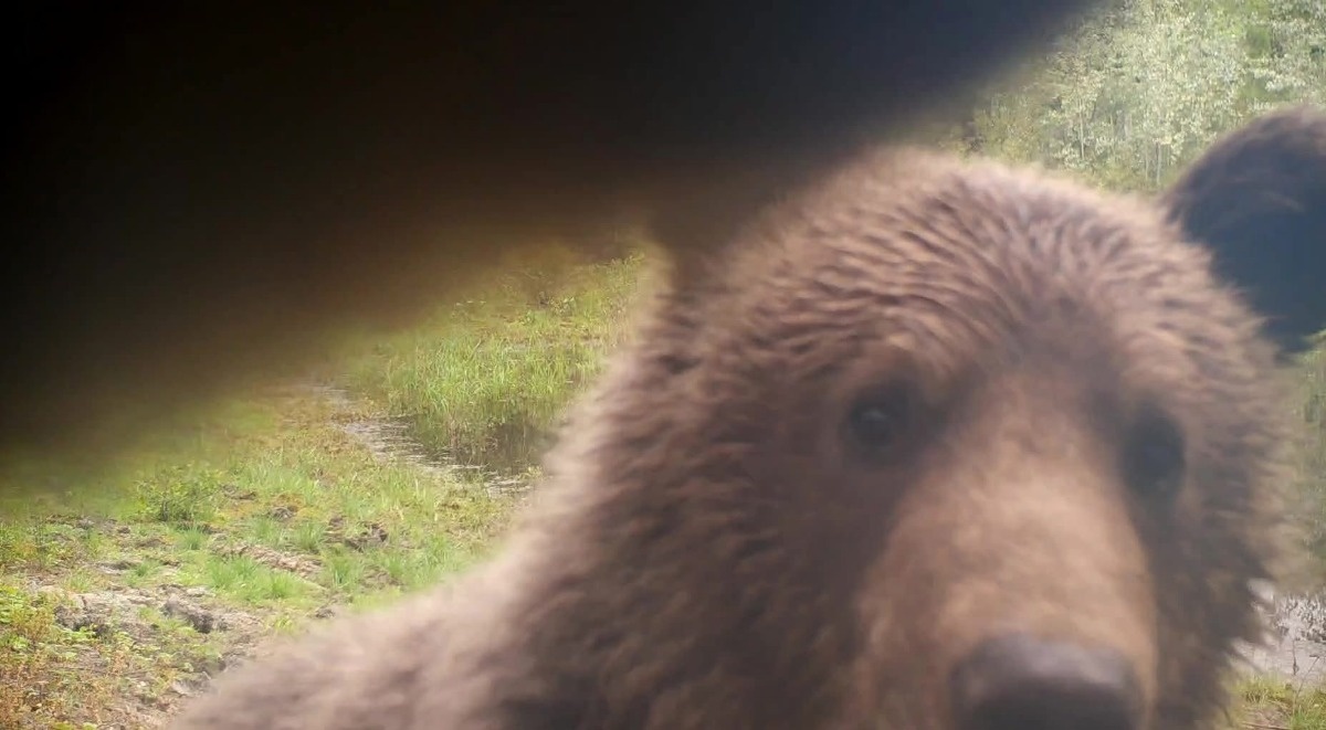 2b806dd6-543c-4d5d-b6ab-b14839699e36