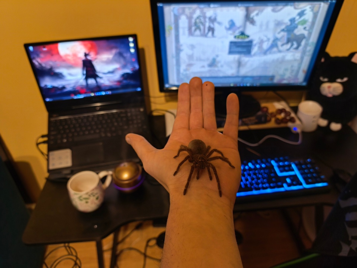 5d2aefef-4f0c-4c5a-9d50-2466663d1120