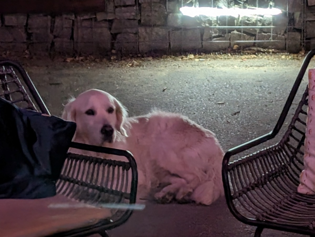 2e8a5184-447d-449d-9f05-63693deebd5a