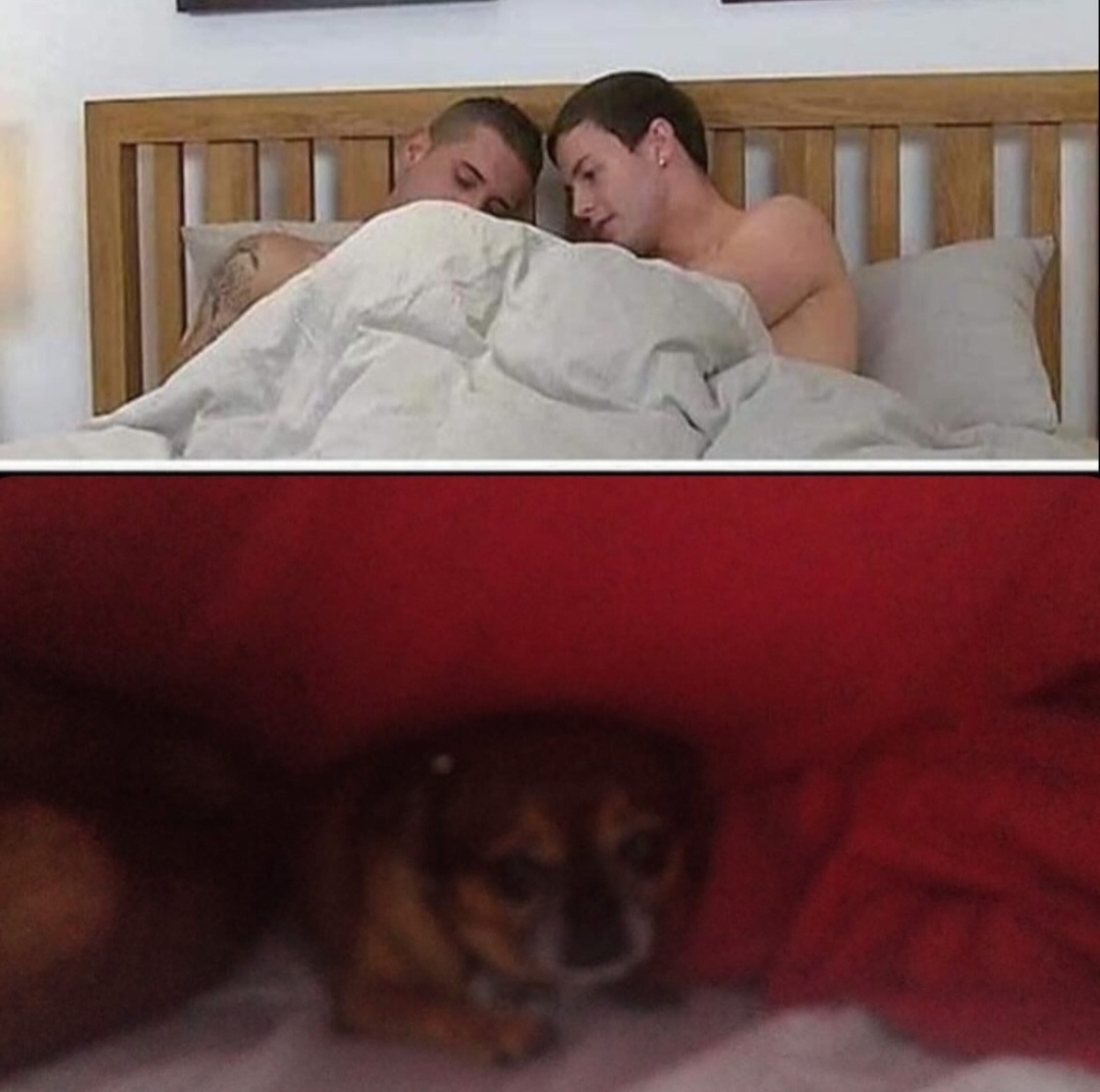 3280e409-eaa6-4222-b2c4-2270ea6238df