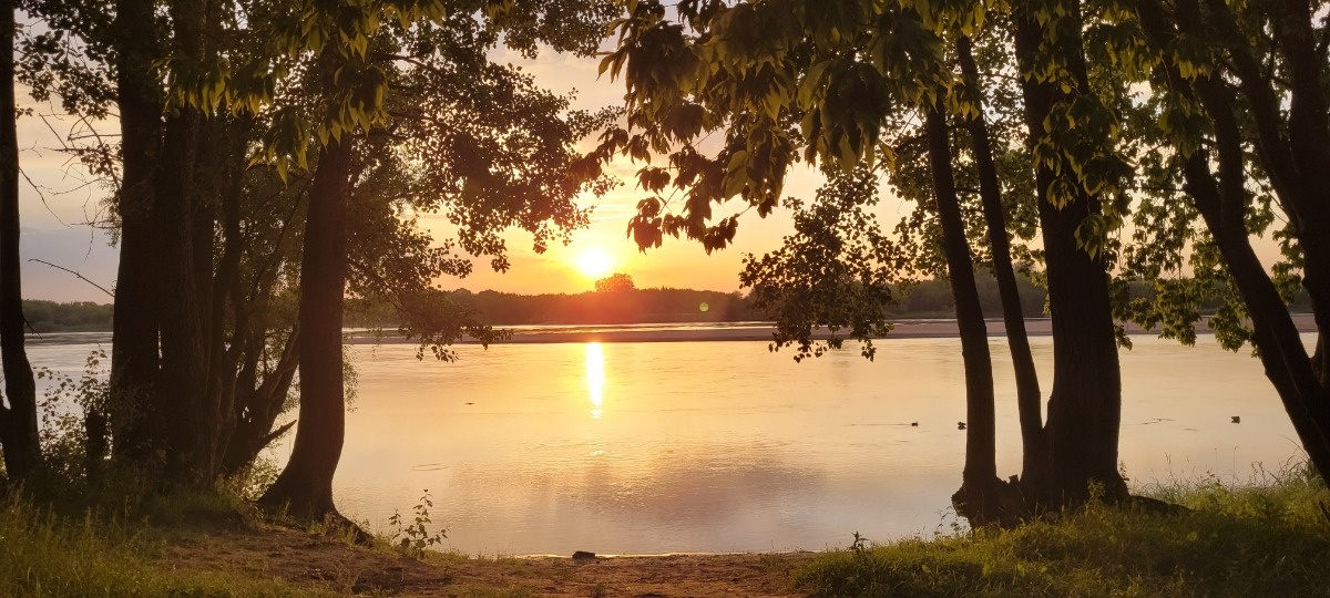 43baaea0-9619-47f5-88e8-62a667df6402