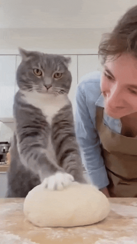 60e4c48d-d00e-4837-a8d2-e62ce5d03d9f