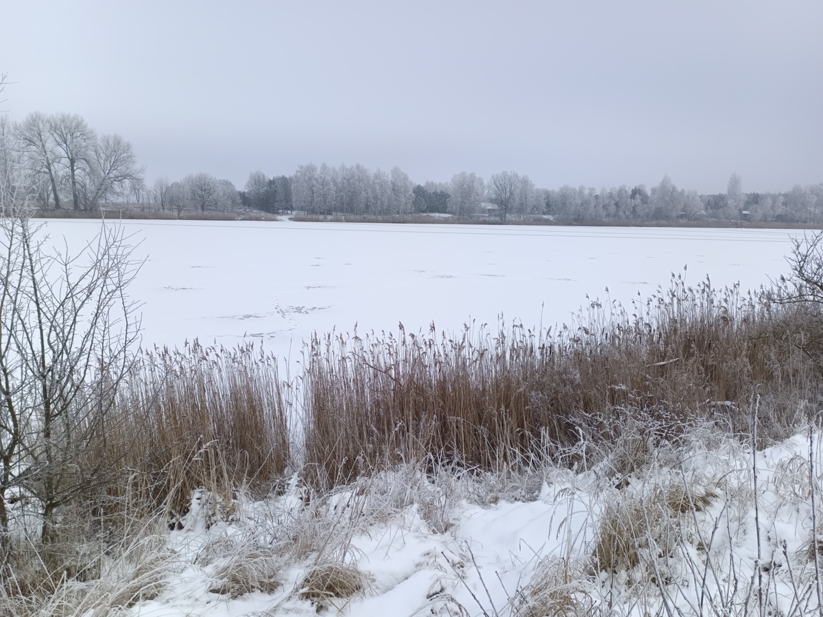 9095e314-5217-40b7-a0f1-dcf5c71fb954