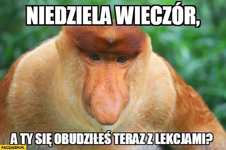01a89d55-a53a-44c1-8de5-ea432c4437ad