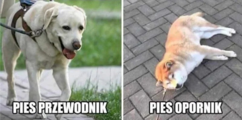 d69dfe8a-d63a-48fc-b40b-30ab6350e633