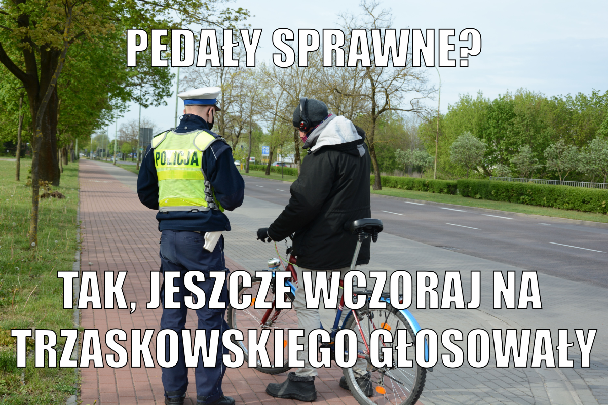 195a009e-b71b-4b77-bb58-df91812b478b