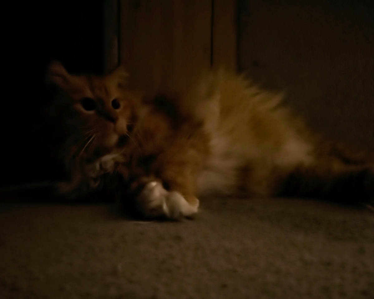 d4dbe54d-06ec-4188-89e3-715b2948e2a3