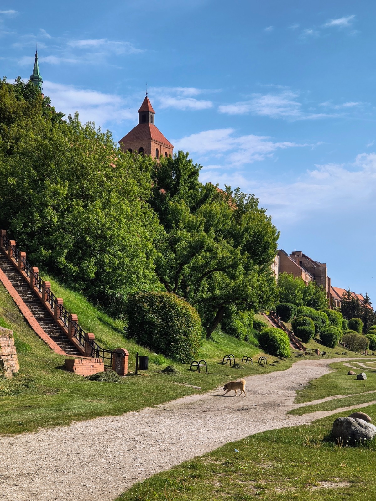 5b222236-41f8-4889-a624-939ff96589de