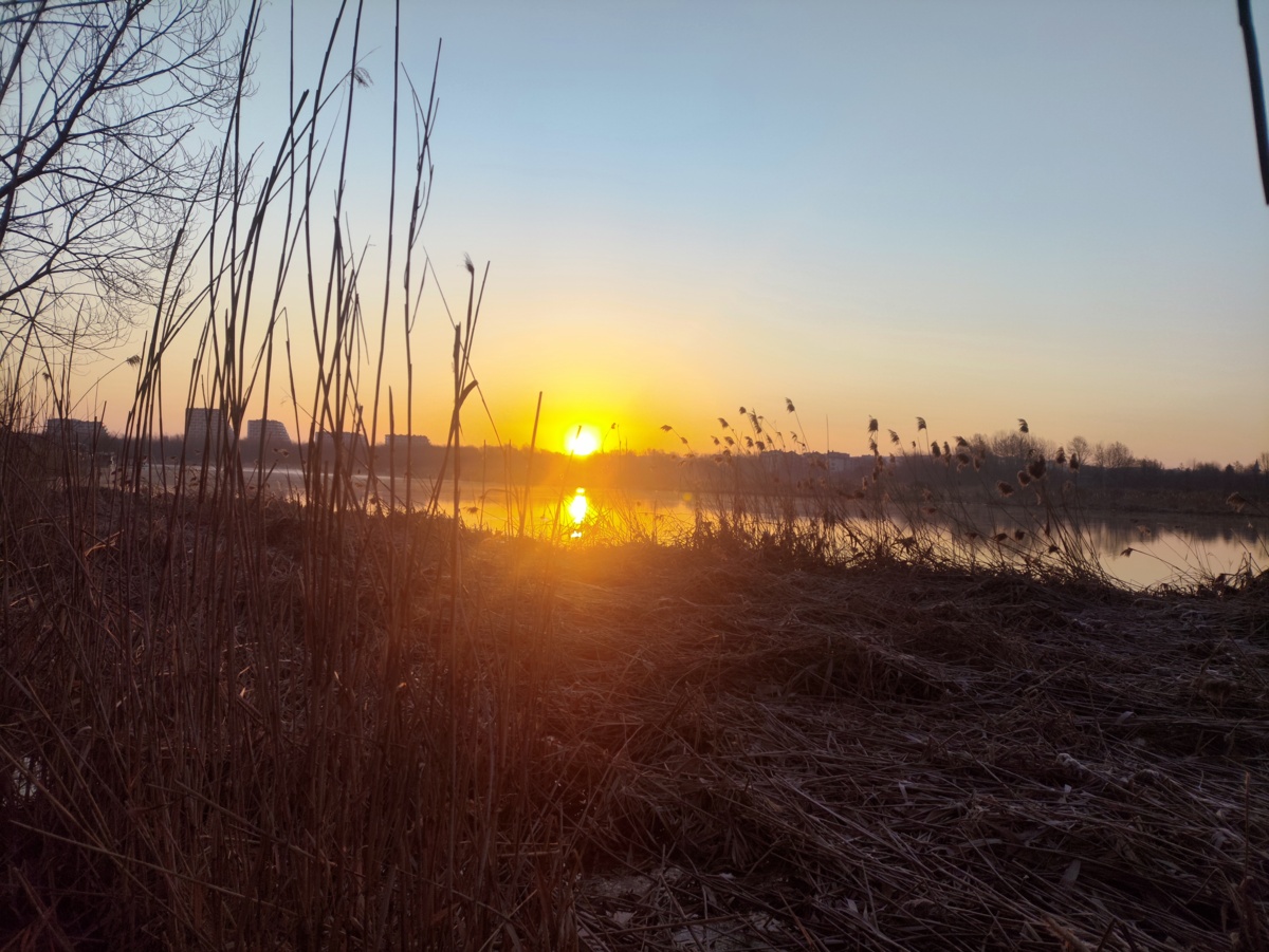 0986a786-88d5-4132-bf15-08b52f49abc7