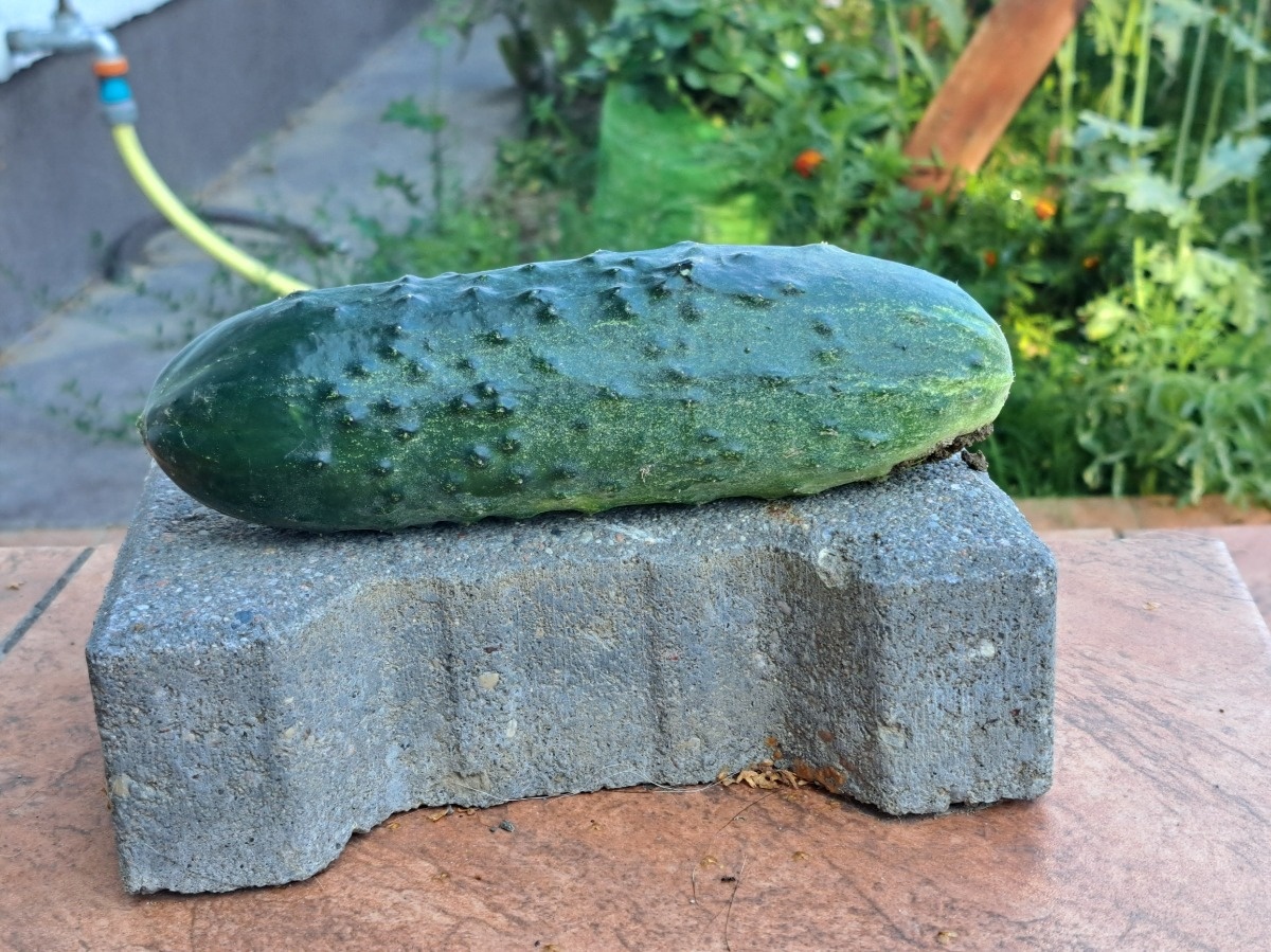 faddcb48-92d2-4ec6-9fb3-c4fc0cfe3ac2