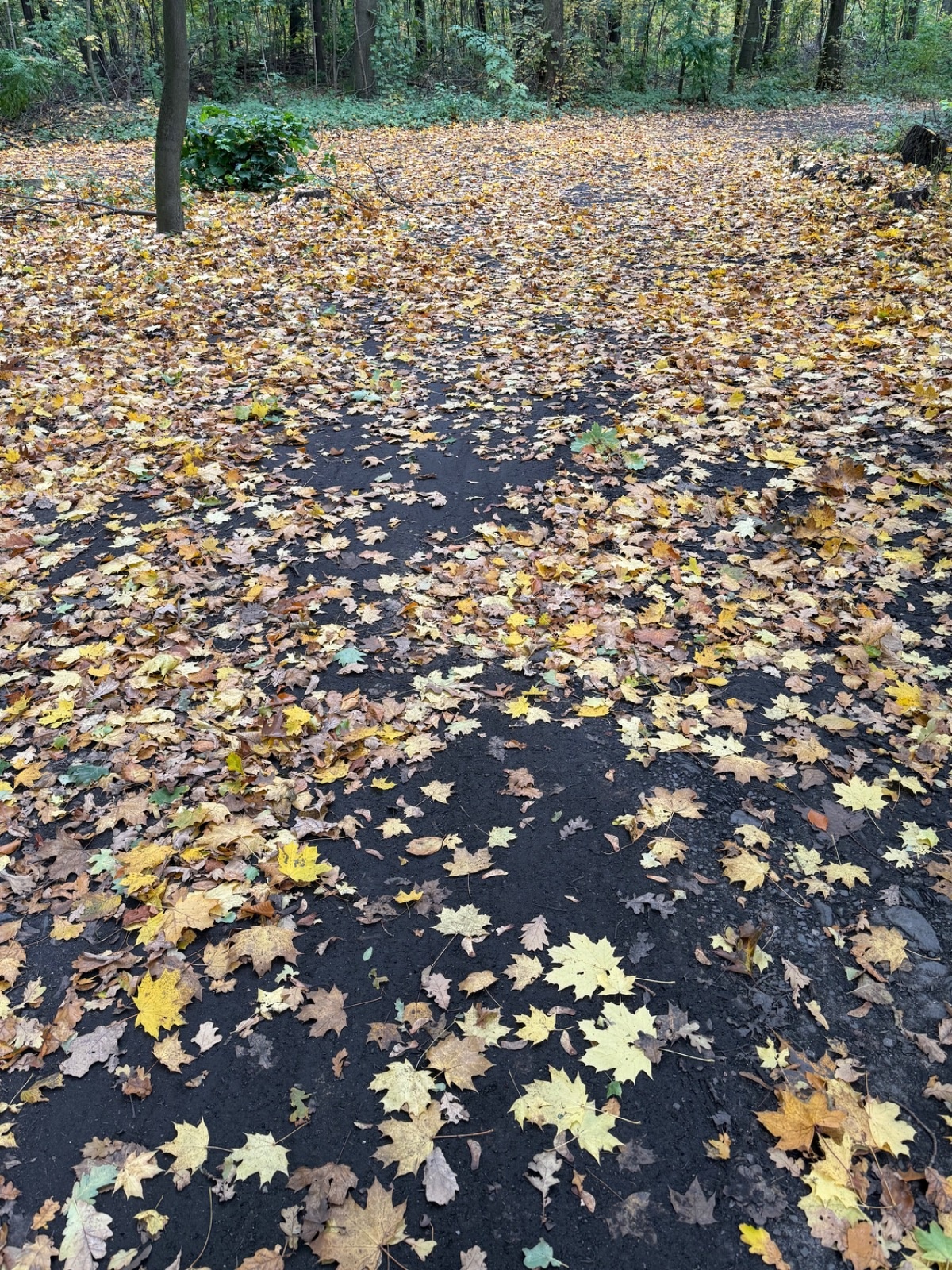 115e78e7-c15a-44bf-aa2f-03422c448b88