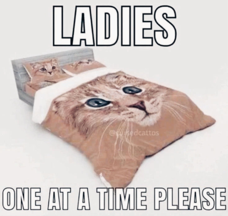 c17c54d6-1493-4a83-95ea-1702e4c57d3c