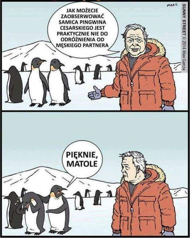 c8b586f4-6906-46d1-9134-729bf59f70e5