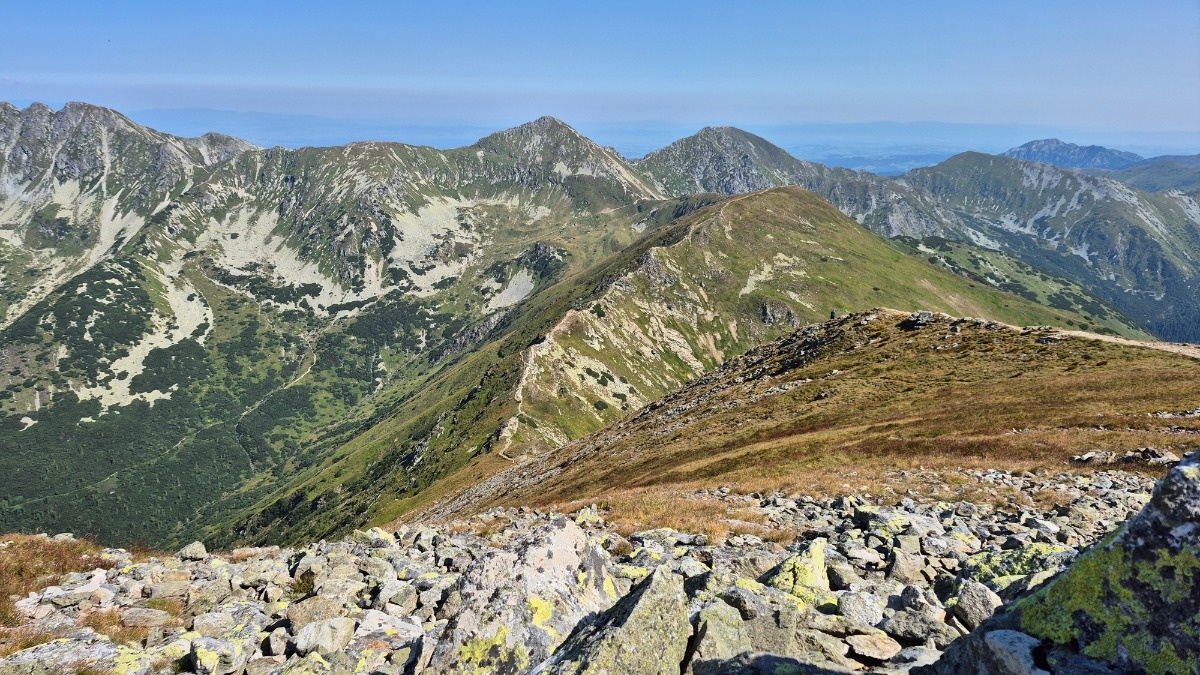 8be248a6-c1c1-41fa-89b7-e7c7db3f60a0