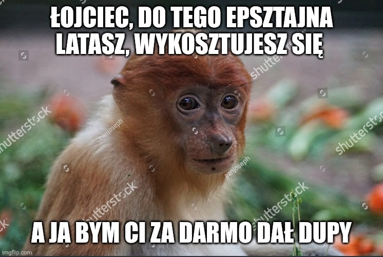 4f695444-5667-4479-87d2-ac6aef8a992d