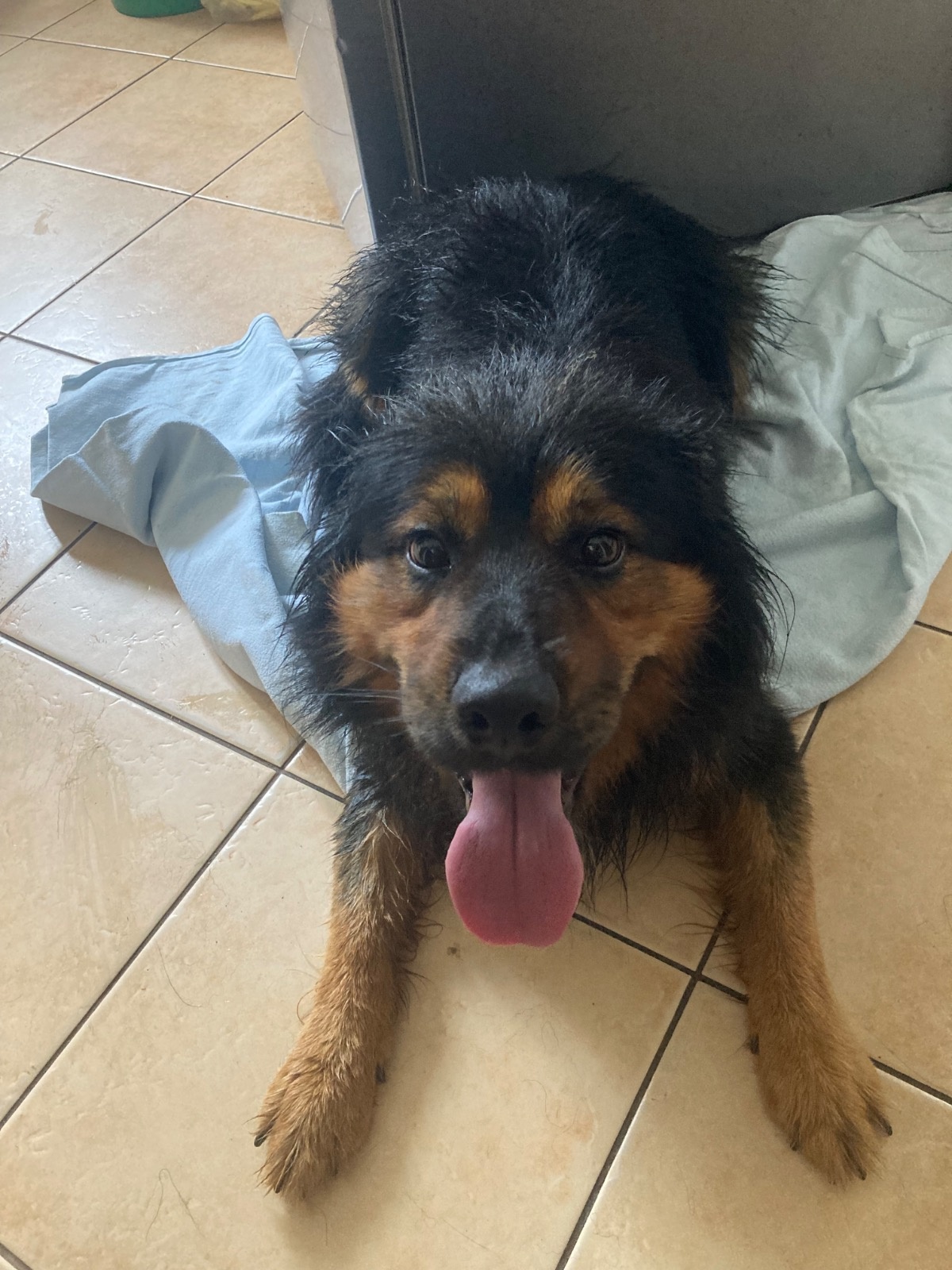 ffe8486b-dd66-4fd6-9f23-7f52426dc852