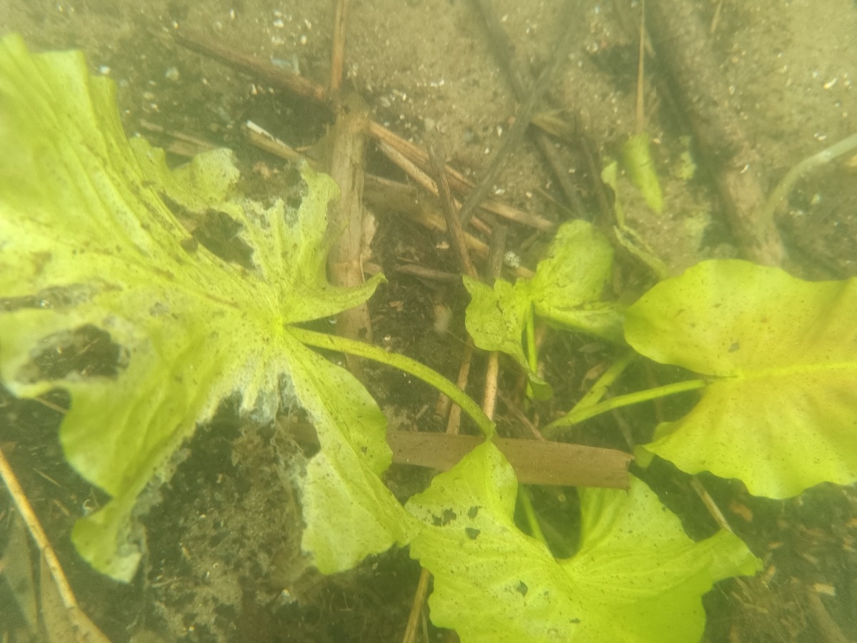 f3893c9e-8f97-4c00-9cd9-382ea351586a