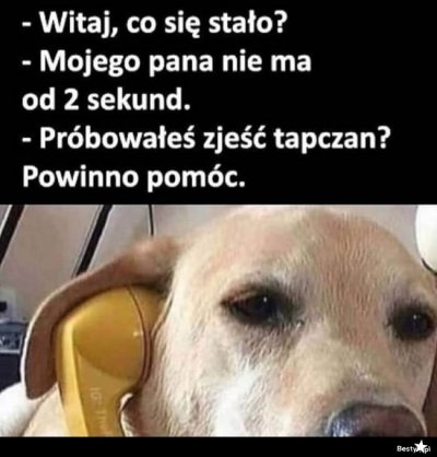 94b84e82-311d-4fc2-8260-488b57147be8