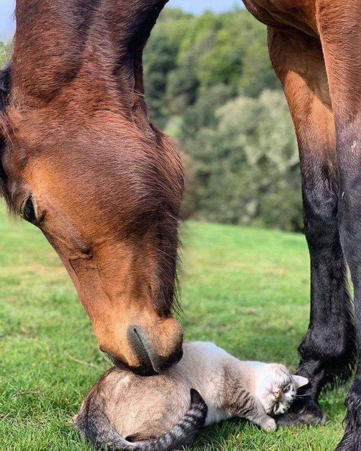 870334d8-c6dd-4b29-87bd-800b9d748b57