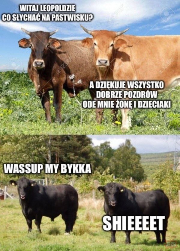 5c754364-1d0b-4143-a84f-3d99d471afcd