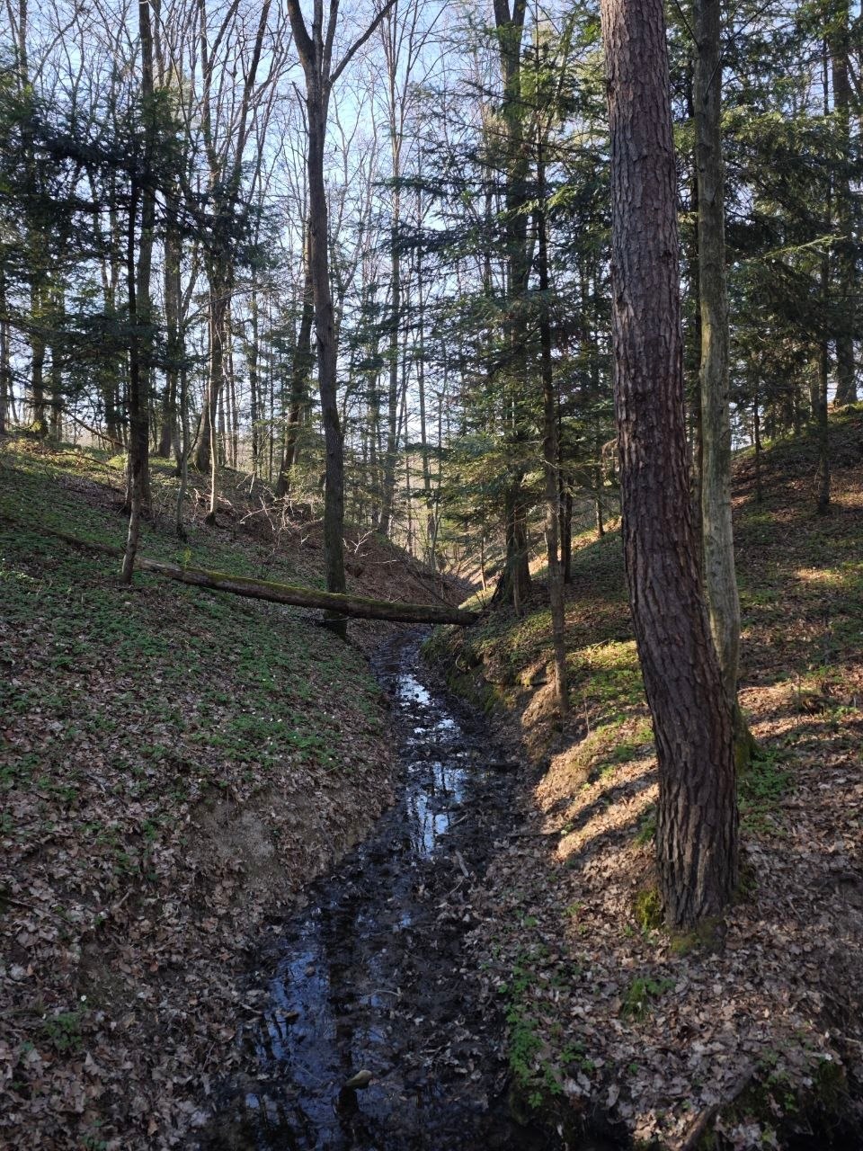 09cd635e-2f49-458b-a373-e8edb8e700d9