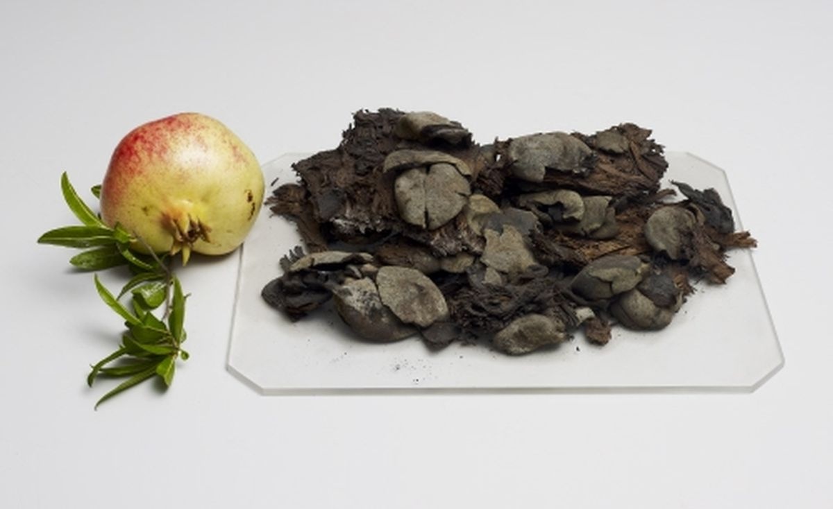 0d8487b8-79e7-4a7e-928d-967747e70ecc