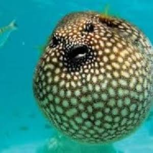 1423885e-5c57-41c5-b2c5-756dff9eee7a