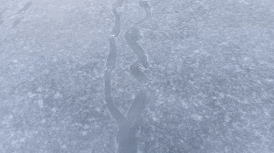 106c66e1-177f-49b8-b50e-2f32c03df471