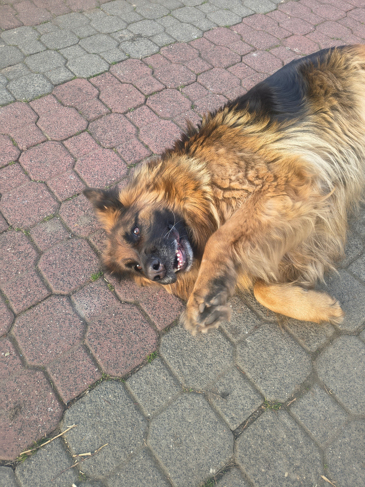 49290fbd-6a48-42ae-87bc-2589b897791f