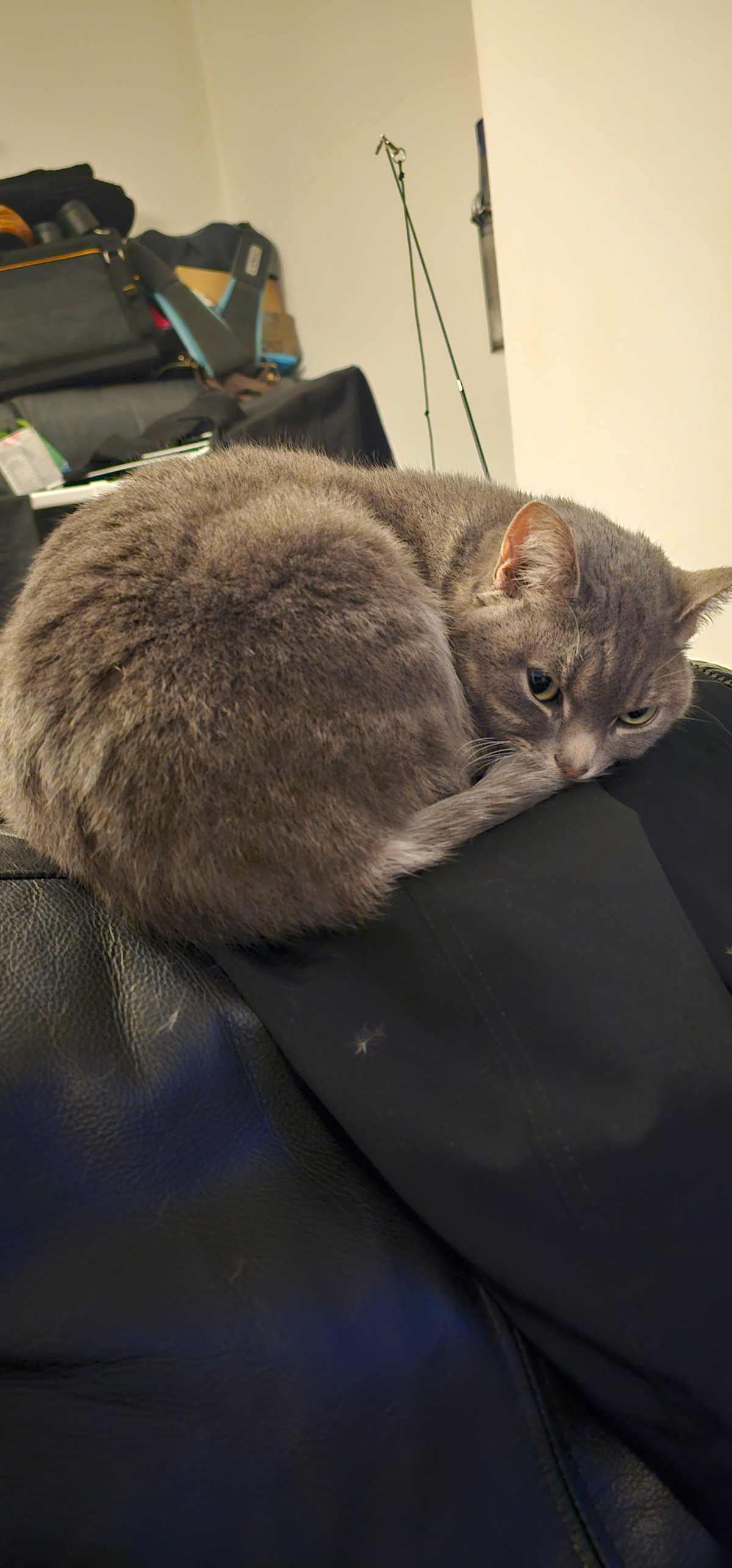 ce15bd23-229f-4ce8-b9b8-cacce8f882e7