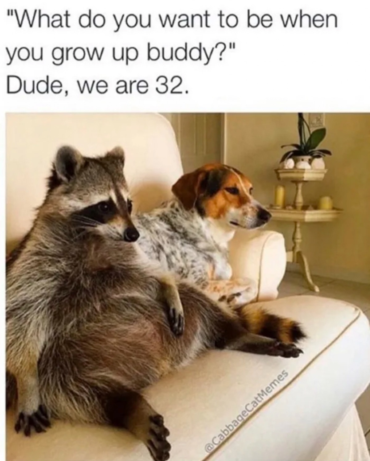 b7100cb8-ba88-4beb-b9fc-3cf1c90bbbca