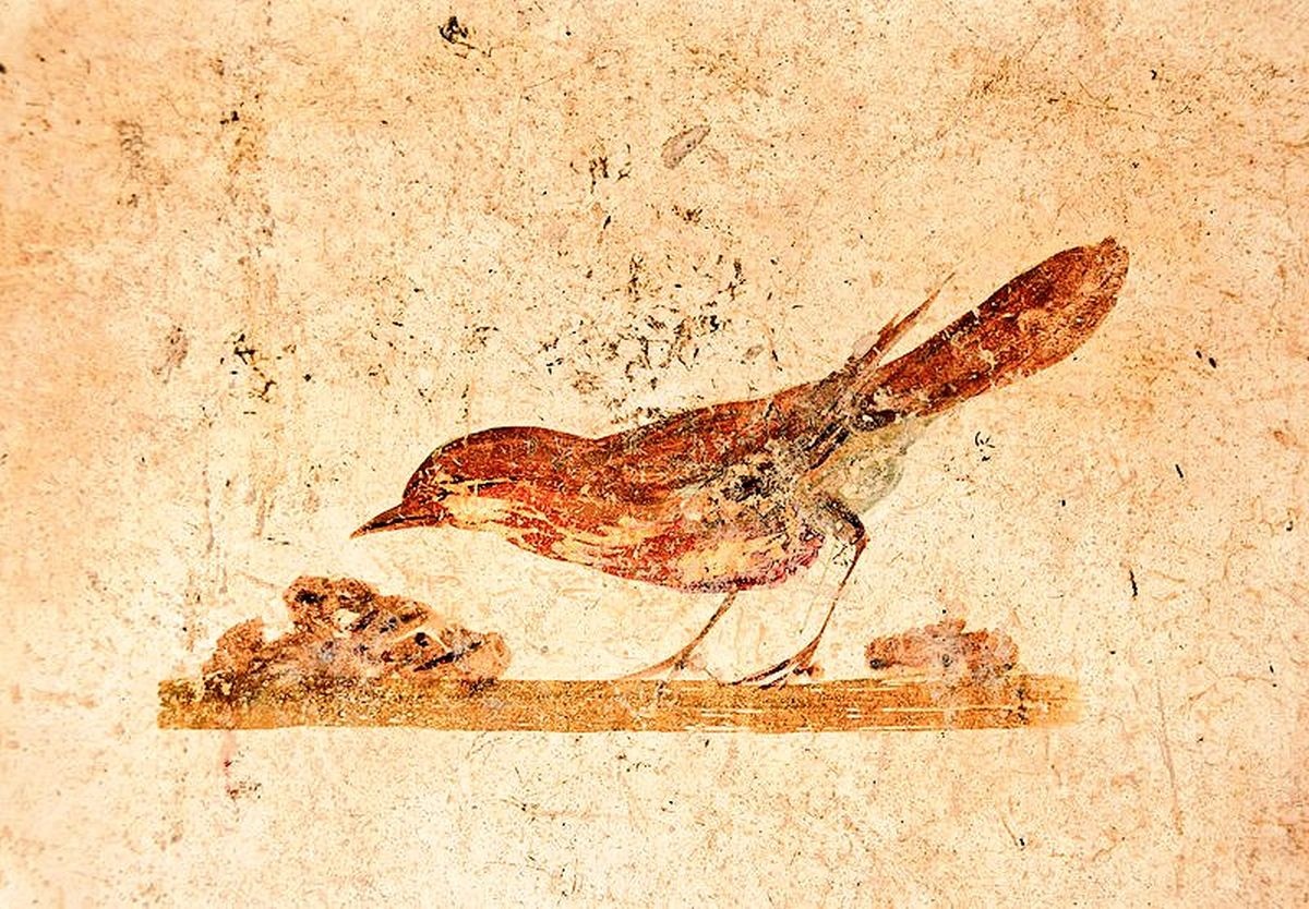 47e6a89e-4ba7-4dc7-969b-1bc21656263b