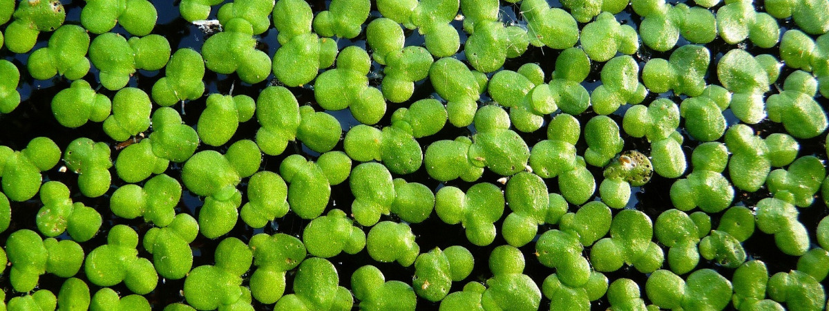 933807ee-dadf-4f34-84ee-46b8fe6214e6