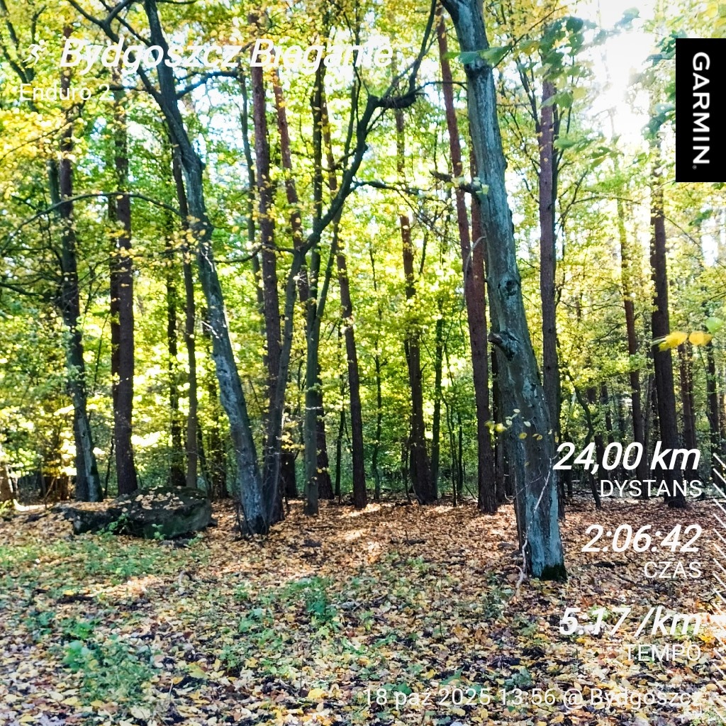 efd9460f-fe32-494d-b2a1-fd466342bcbf