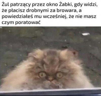 9396b6a8-f5b1-45cb-a6fe-be0e8c1b4470