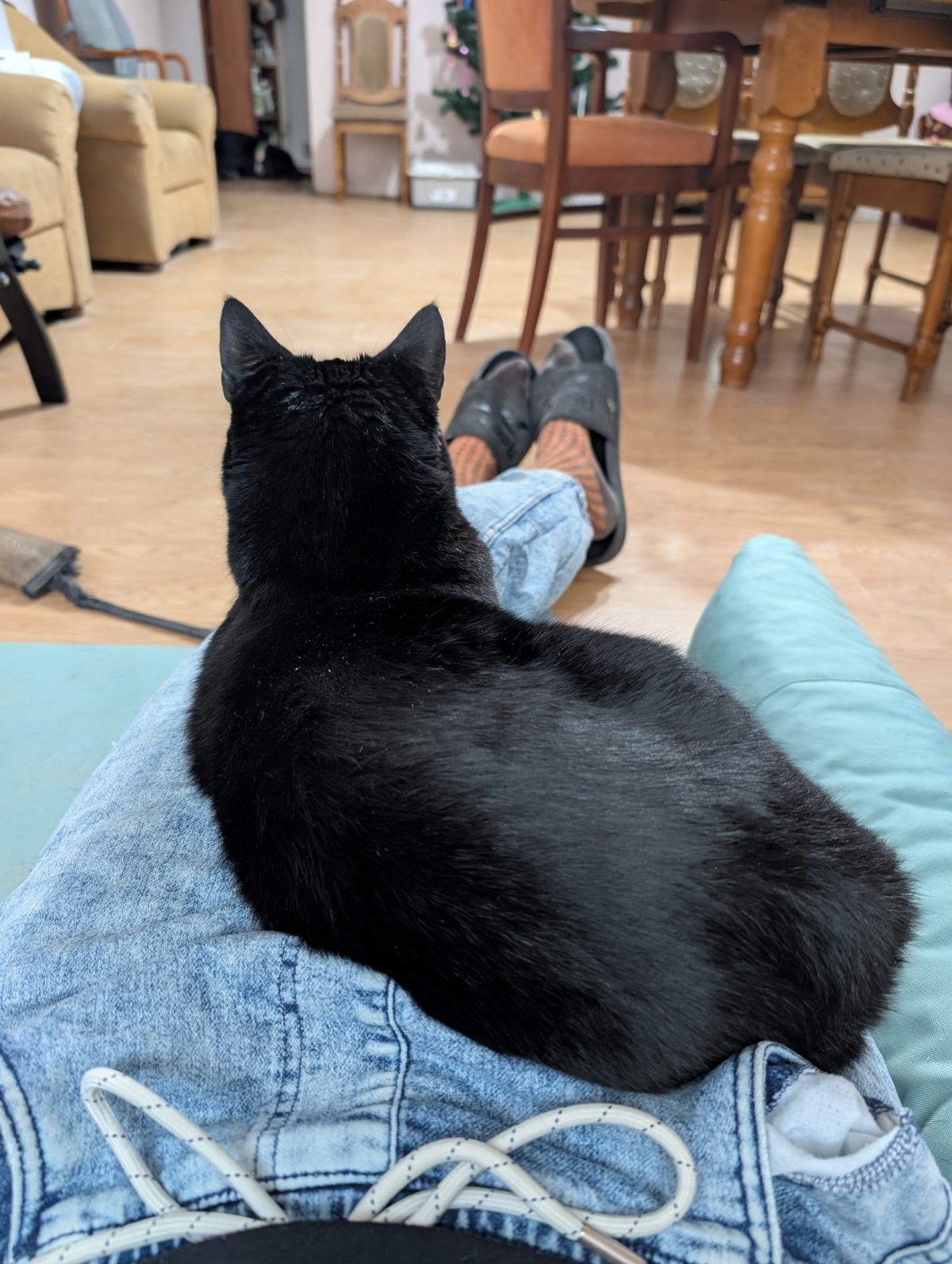 7379ee86-f4ef-4c0c-b673-c0b8f563361b