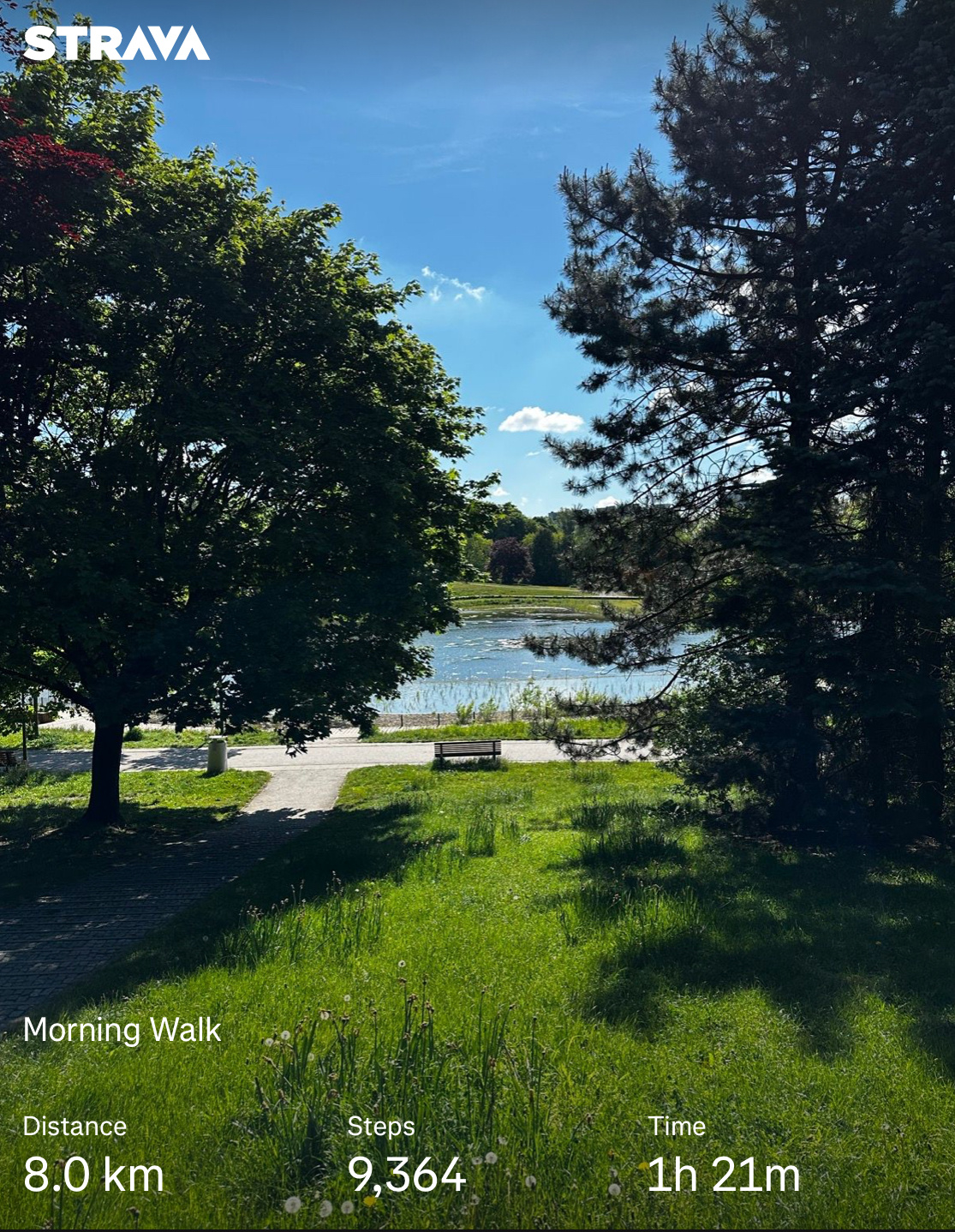 bd30c625-5f58-4a2b-9e44-1d9531b85f02