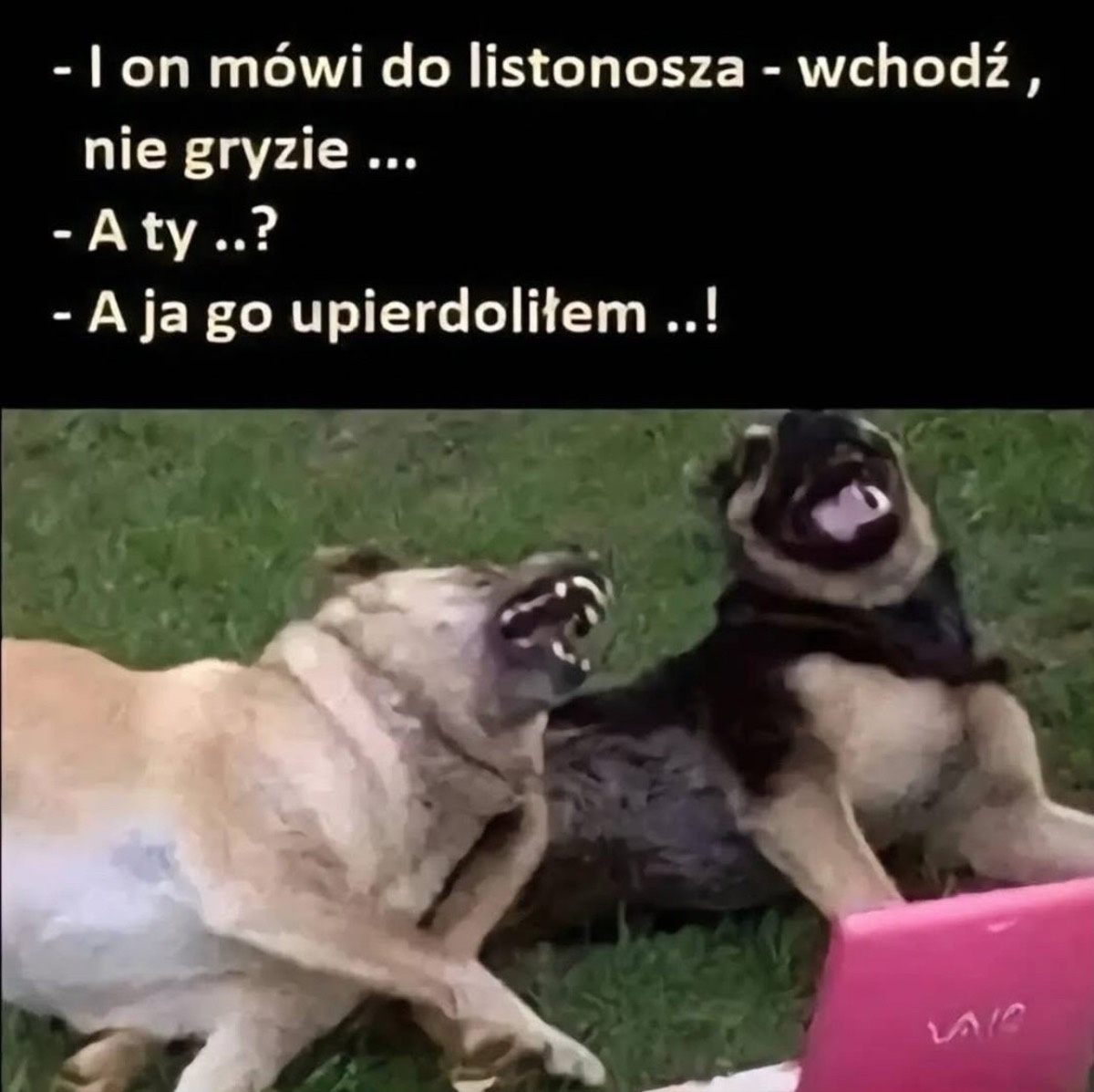 ca5f9705-c194-4100-875e-bdf0f065cf2b