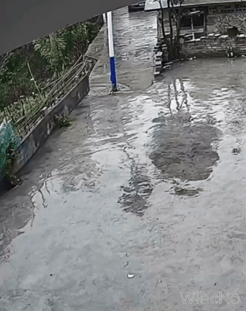 3ef8d602-7b3f-4ff6-8b54-44cefe3393d8