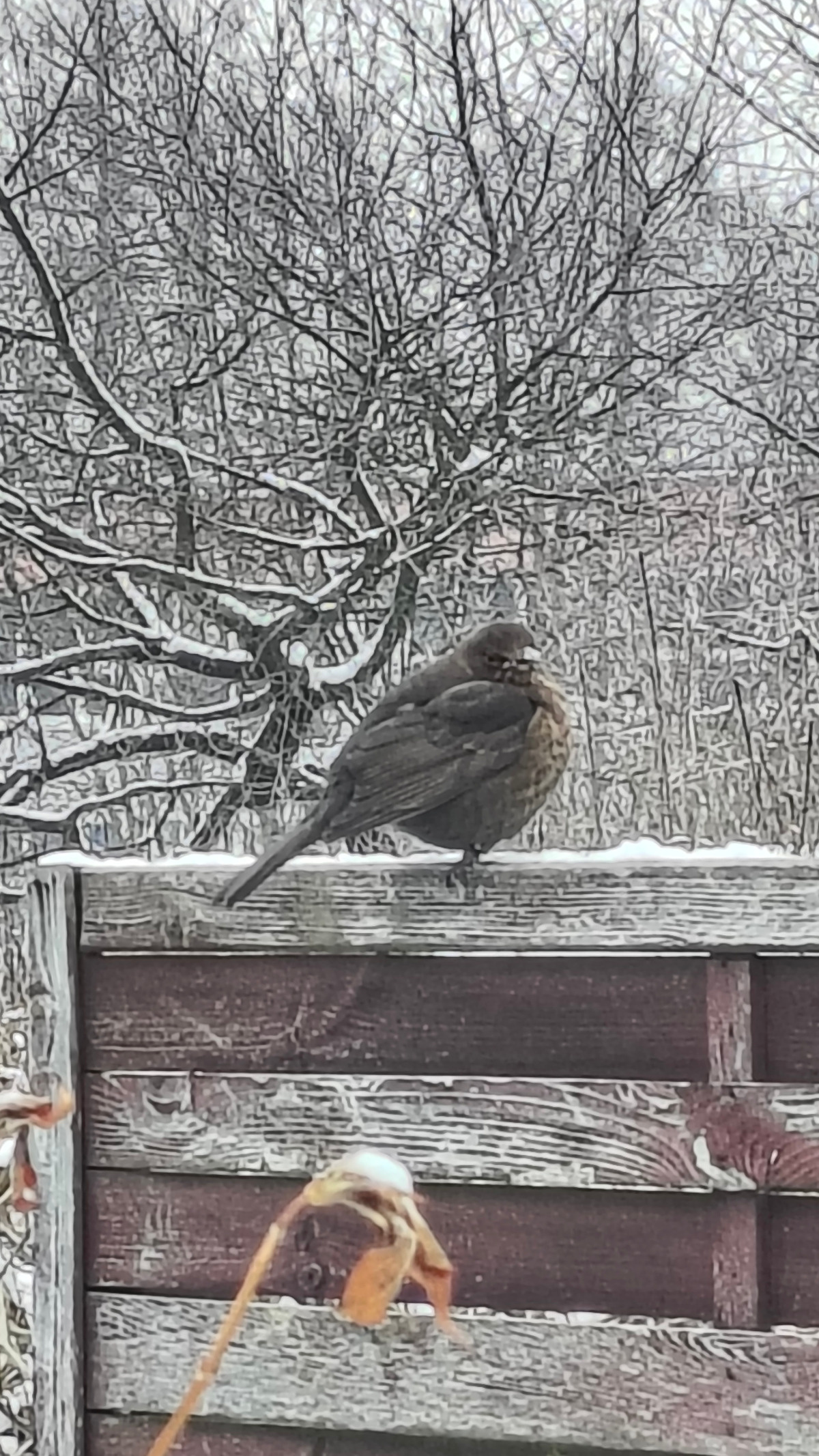 fa3425bf-62f7-47ed-9bbd-1e66e4b53b5f