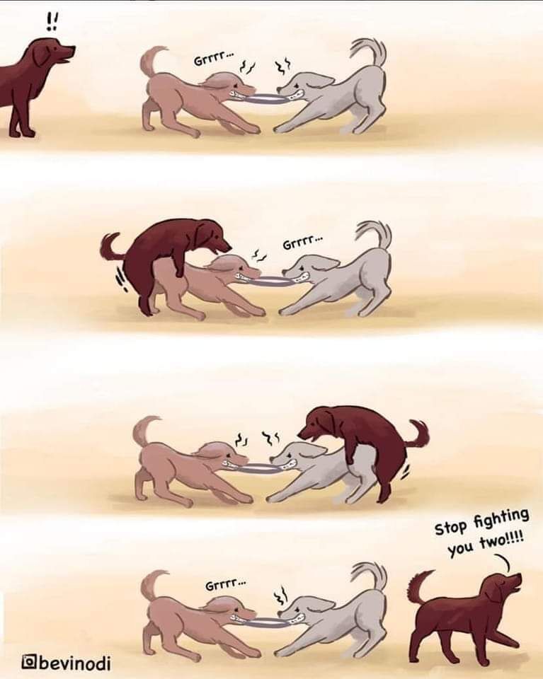 68ecbdce-dc2b-4c72-bc71-b3a950ca1e4f