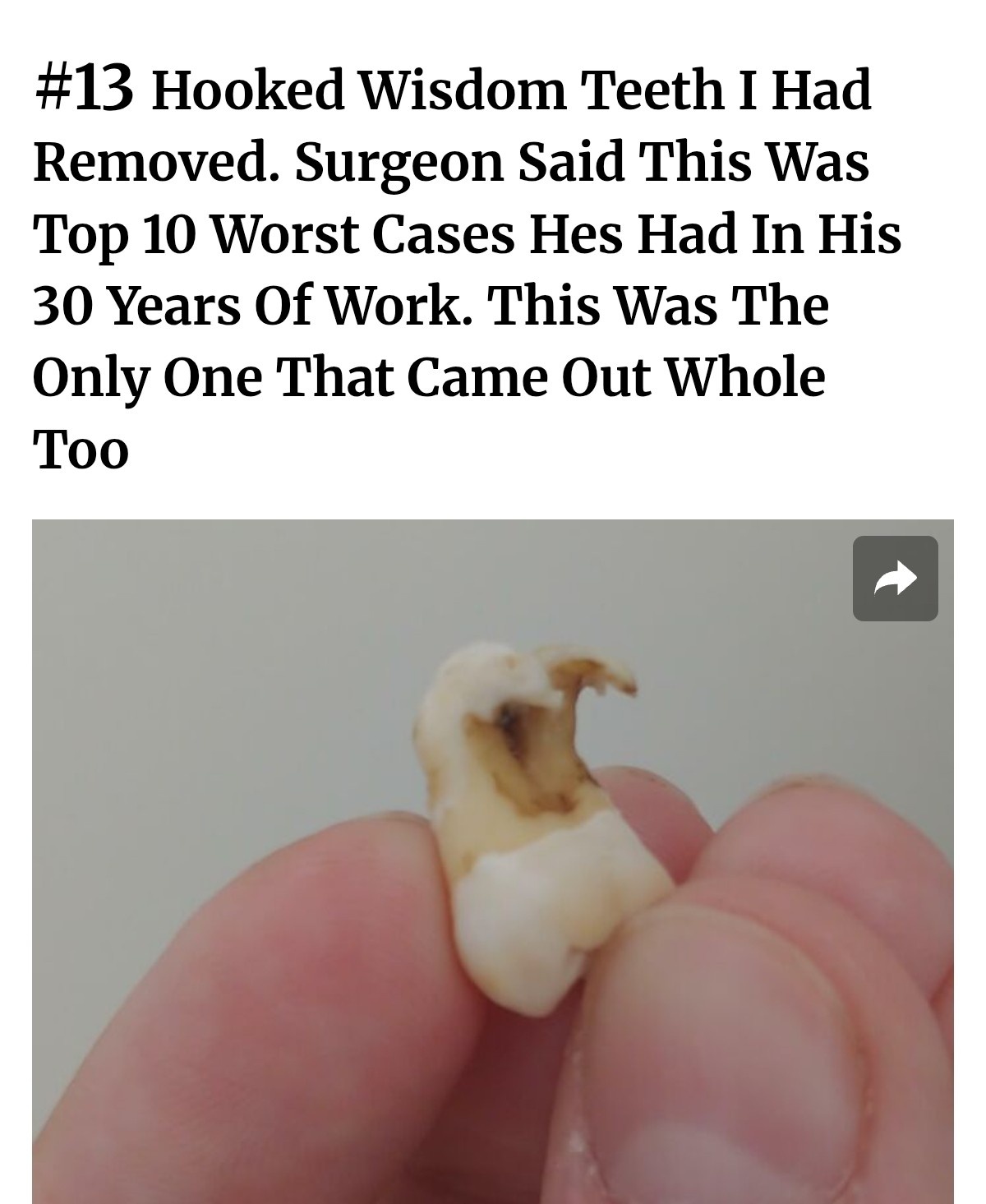 50336b59-d161-4b96-93e9-dbf7e0d73f0b