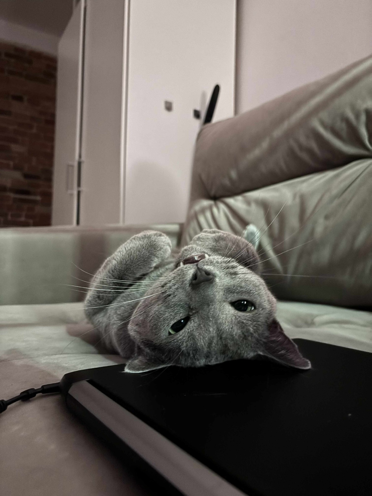 1679ed85-b170-428f-bdce-cd8aef9daa68