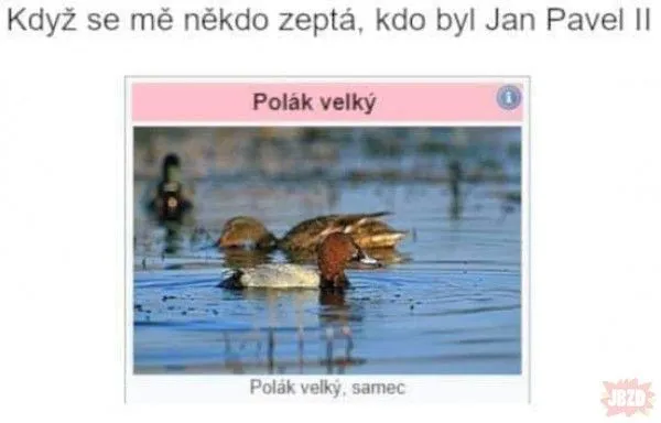 a42df421-b1af-4647-beda-ecbb9fdc451c