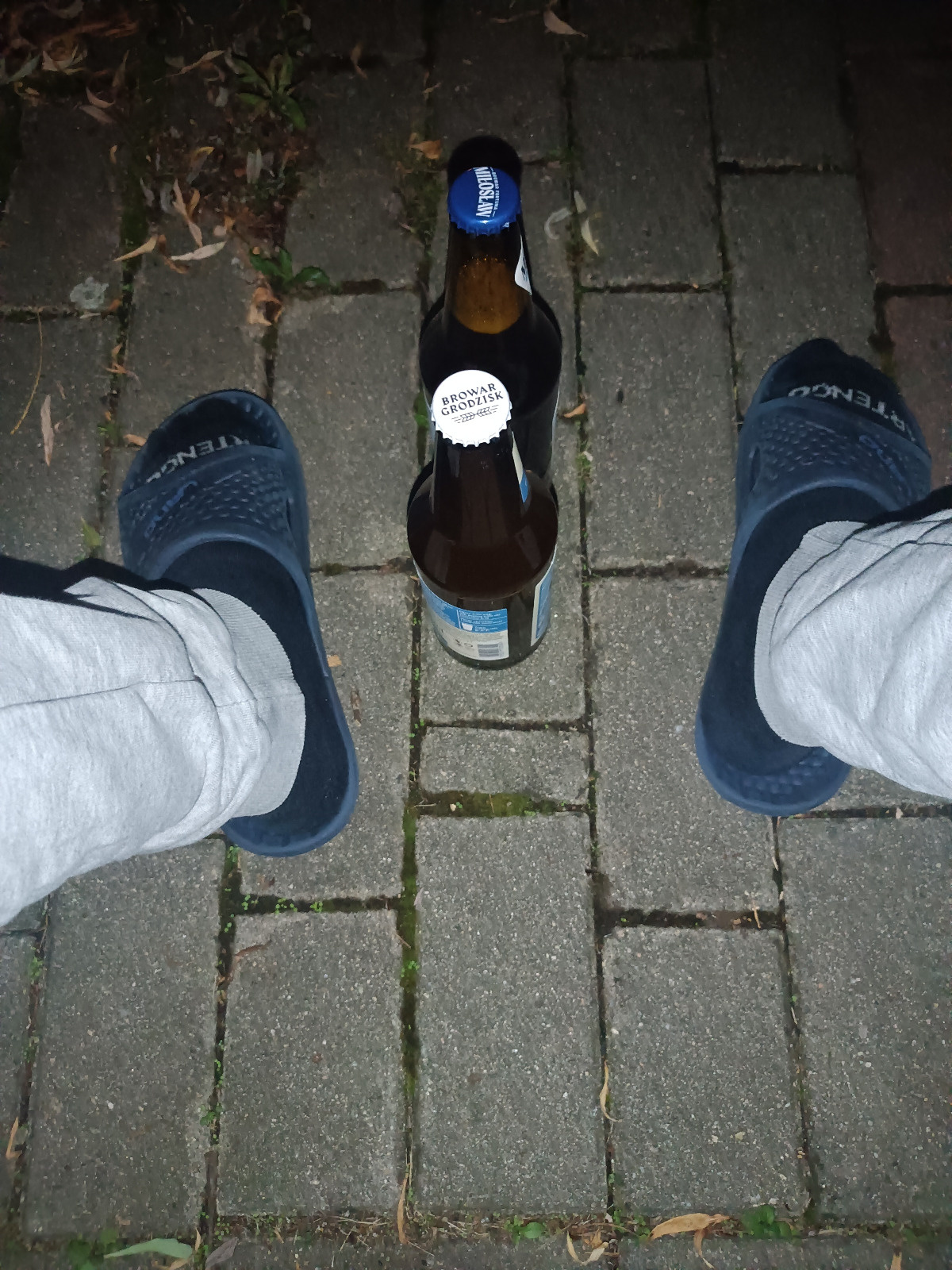 ca341843-41d0-44e6-9ff0-177782672aed