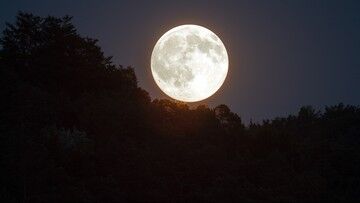 Rakieta uderzy w Księżyc. Eksperci: wystrzeliły ją Chiny, a nie SpaceX Elona Muska