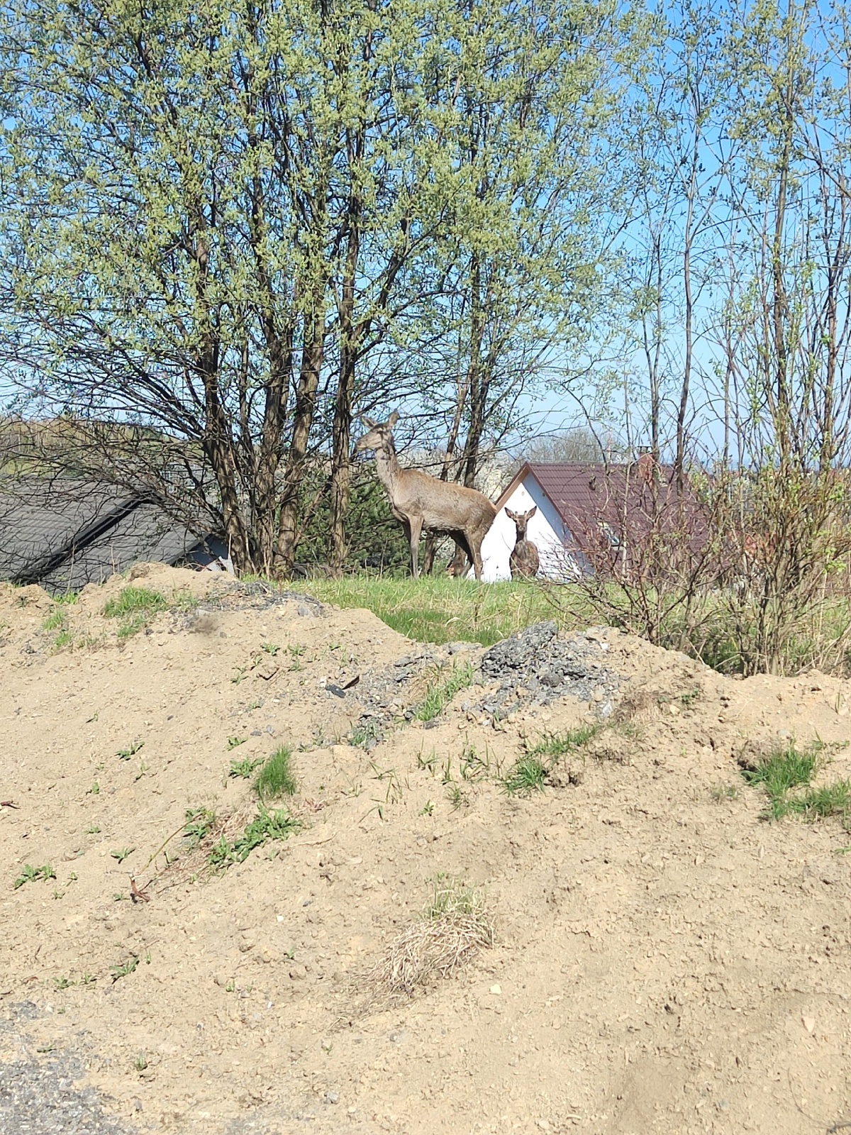 a02586f1-a959-4404-ab09-137cf8926207